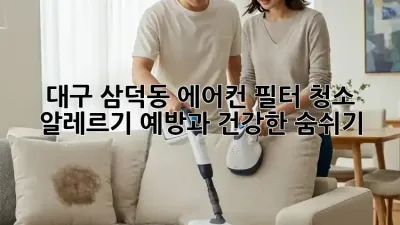 대구 삼덕동 에어컨 필터 청소 : 알레르기 예방과 건강한 숨쉬기